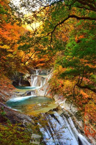 西沢渓谷 山梨 の紅葉見頃情報 紅葉名所 紅葉ch ウェザーニュース