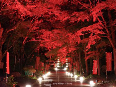 目の霊山 油山寺 静岡 の紅葉見頃情報 紅葉名所 紅葉ch ウェザーニュース