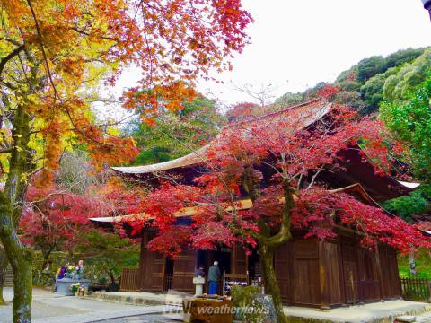 定光寺 定光寺公園 愛知 の紅葉見頃情報 紅葉情報 ウェザーニュース