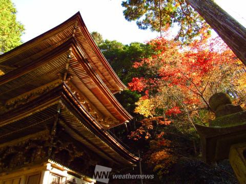 両界山横蔵寺 岐阜 の紅葉見頃情報 紅葉情報 ウェザーニュース