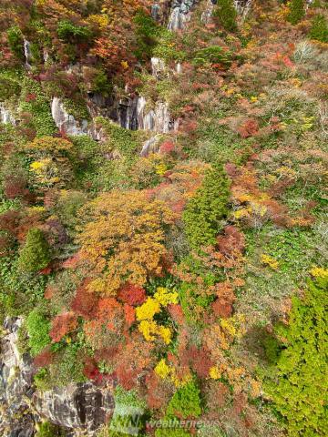 御在所岳 三重 の紅葉見頃情報 紅葉情報 ウェザーニュース