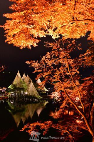 特別名勝兼六園 石川 の紅葉見頃情報 紅葉名所 紅葉ch ウェザーニュース