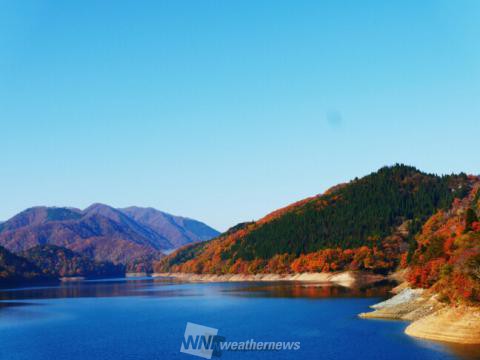 九頭竜湖 福井 の紅葉見頃情報 紅葉情報 ウェザーニュース