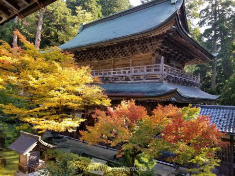 永平寺 福井 の紅葉見頃情報 紅葉名所 紅葉ch ウェザーニュース