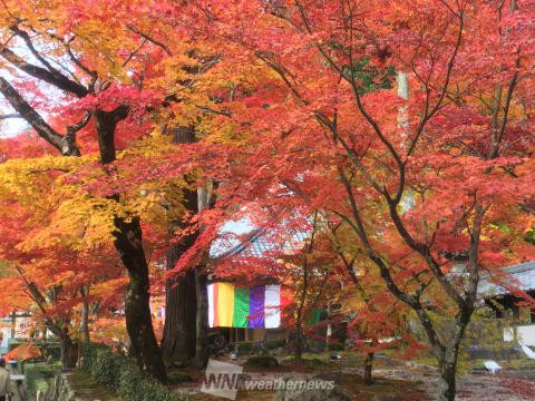 滋賀の紅葉見頃情報 紅葉ch ウェザーニュース