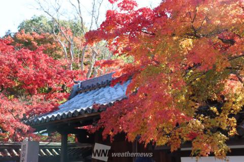 南禅寺 京都 の紅葉見頃情報 紅葉情報 ウェザーニュース