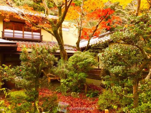 明治の森箕面国定公園 大阪 の紅葉見頃情報 紅葉情報 ウェザーニュース