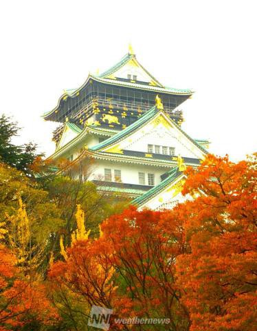 大阪城公園 大阪 の紅葉見頃情報 紅葉情報 ウェザーニュース