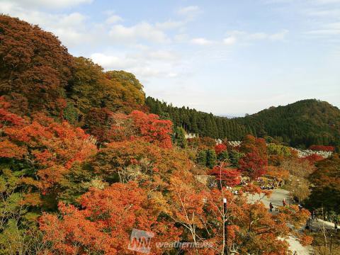 勝尾寺 大阪 の紅葉見頃情報 紅葉名所 紅葉ch ウェザーニュース