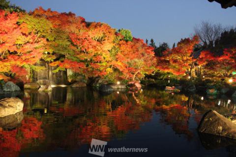 姫路城西御屋敷跡庭園好古園 兵庫 の紅葉見頃情報 紅葉情報 ウェザーニュース