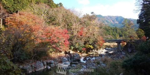 奥香落渓 奈良 の紅葉見頃情報 紅葉情報21 ウェザーニュース