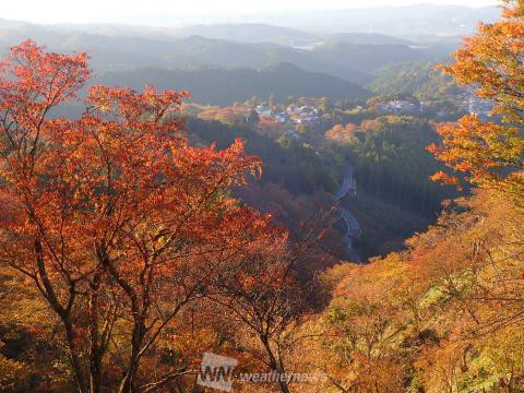 吉野山 中千本 奈良 の紅葉見頃情報 紅葉情報 ウェザーニュース