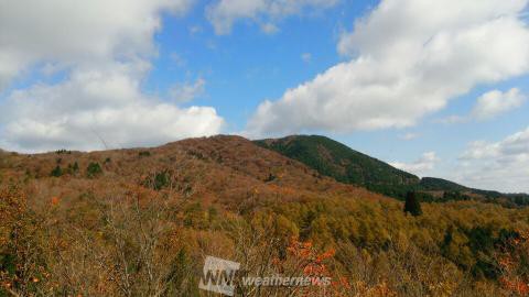 岡山県立森林公園 岡山 の紅葉見頃情報 紅葉情報 ウェザーニュース