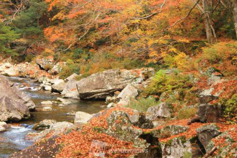 三段峡 広島 の紅葉見頃情報 紅葉名所 紅葉ch ウェザーニュース