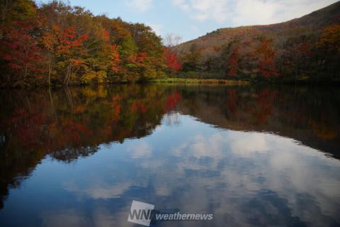 吾妻山ロッジ 広島 の紅葉見頃情報 紅葉情報 ウェザーニュース