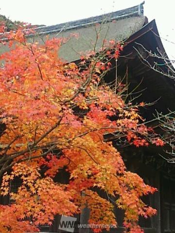 功山寺 山口 の紅葉見頃情報 紅葉名所 紅葉ch ウェザーニュース