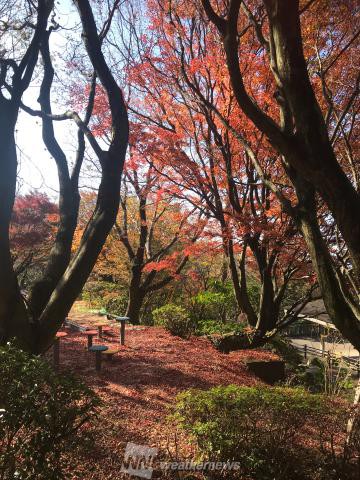 帆柱自然公園 皿倉山 福岡 の紅葉見頃情報 紅葉名所 紅葉ch ウェザーニュース