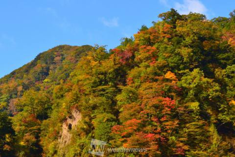 九酔渓 大分 の紅葉見頃情報 紅葉情報 ウェザーニュース