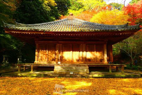 富貴寺 大分 の紅葉見頃情報 紅葉名所 紅葉ch ウェザーニュース