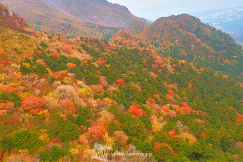 雲仙 仁田峠 長崎 の紅葉見頃情報 紅葉情報 ウェザーニュース