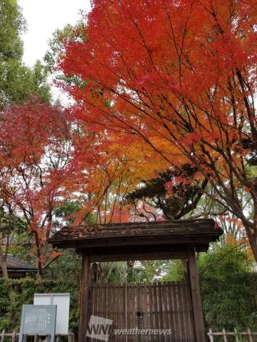 熊本の紅葉見頃情報 紅葉ch ウェザーニュース