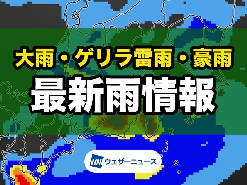 雨・ゲリラ豪雨予測│豪雨・雷雨・大雨に関する情報 - ウェザーニュース