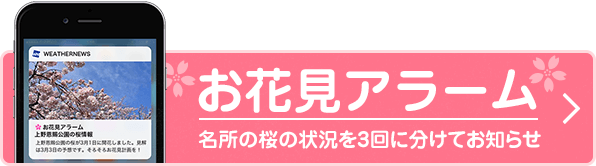 お花見アラーム