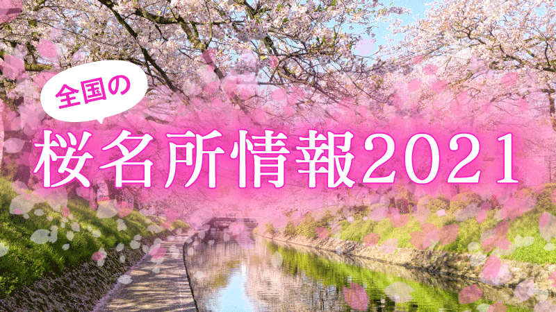 桜開花予想 21 さくらch ウェザーニュース
