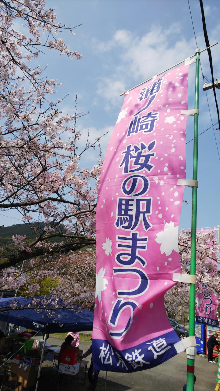 リポーターお花見おすすめスポット情報 桜開花 花見情報 ウェザーニュース