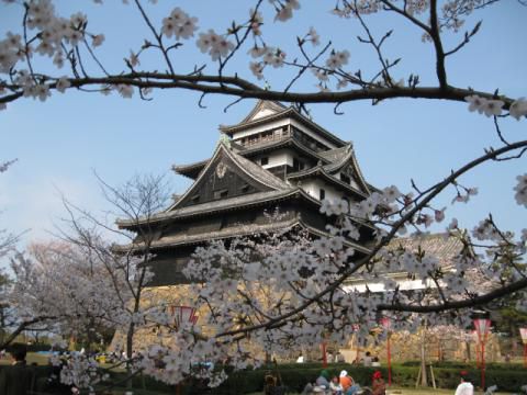 松江城山公園の花見 桜情報 22年 ウェザーニュース