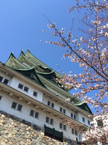名古屋城の花見 桜情報 22年 ウェザーニュース