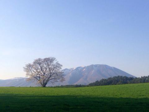 小岩井農場