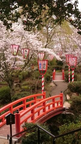 打吹公園の桜 名所情報 鳥取県倉吉市 桜開花 名所情報 ウェザーニュース