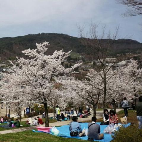 長野市城山公園の桜 名所情報21 長野県長野市 桜開花 名所情報 ウェザーニュース