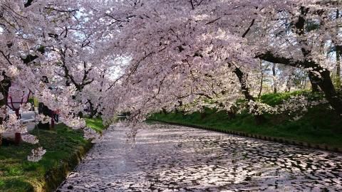 弘前公園
