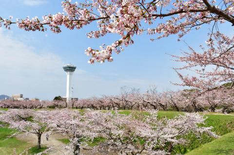 五稜郭公園