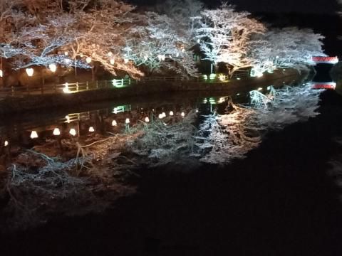 鹿野城跡公園の花見 桜情報 22年 ウェザーニュース