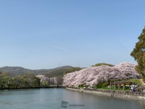 酒津公園の花見 桜情報 22年 ウェザーニュース