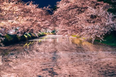 弘前公園の花見 桜情報 22年 ウェザーニュース