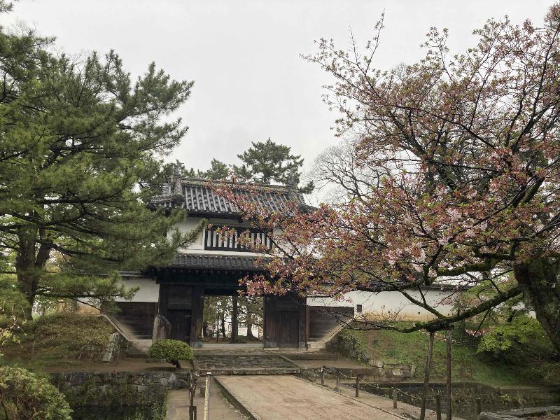 亀城公園の桜 名所情報21 茨城県土浦市 桜開花 名所情報 ウェザーニュース