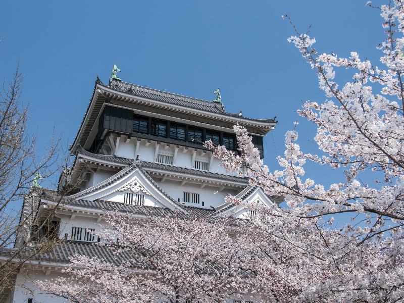 小倉城の花見 桜情報 22年 ウェザーニュース