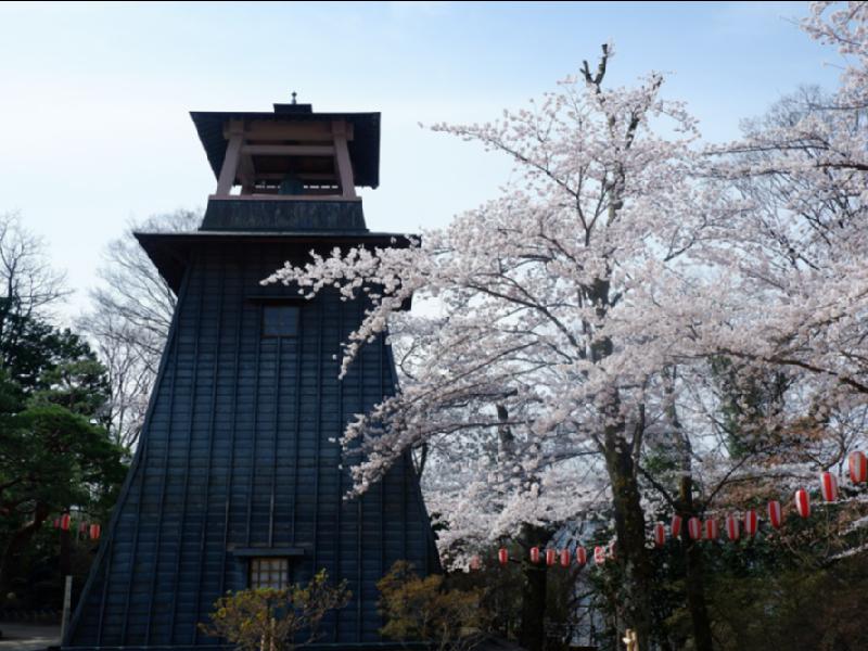 沼田公園 沼田城址 の花見 桜情報 22年 ウェザーニュース