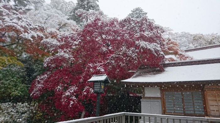 各地の積雪状況を追う ウェザーニュース