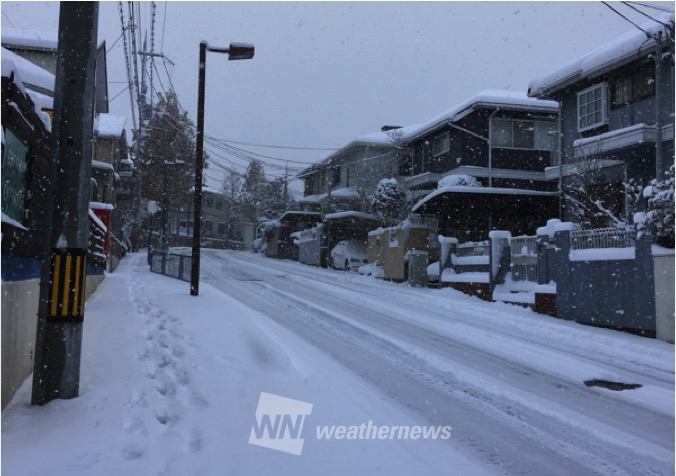 各地の積雪状況を追う ウェザーニュース