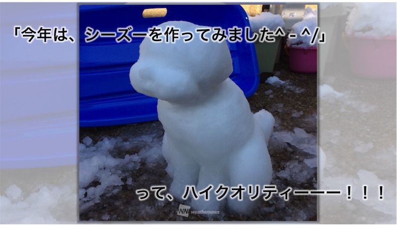 クオリティ高し!みんなの雪だるまリポート | ウェザーニュース クオリティ高し!みんなの雪だるまリポート | ウェザーニュース