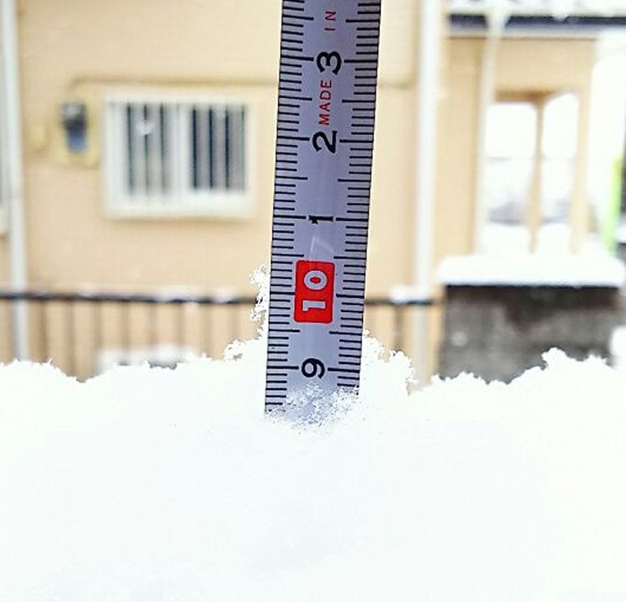 栃木 茨城は一面雪景色 ウェザーニュース
