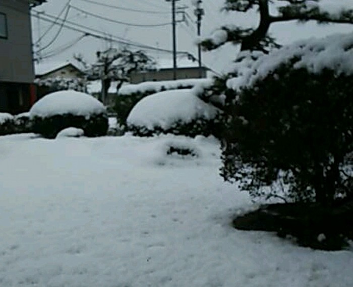 永観堂(禅林寺