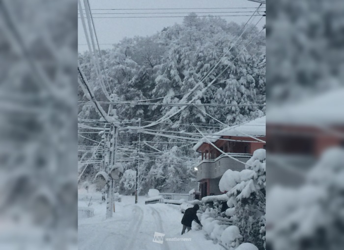 小浜 鳥取 12時間で30cm積雪増加 ウェザーニュース