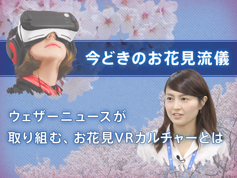 いま時のお花見流儀 ウェザーニュースが取り組む新しいお花見カルチャーとは ウェザーニュース