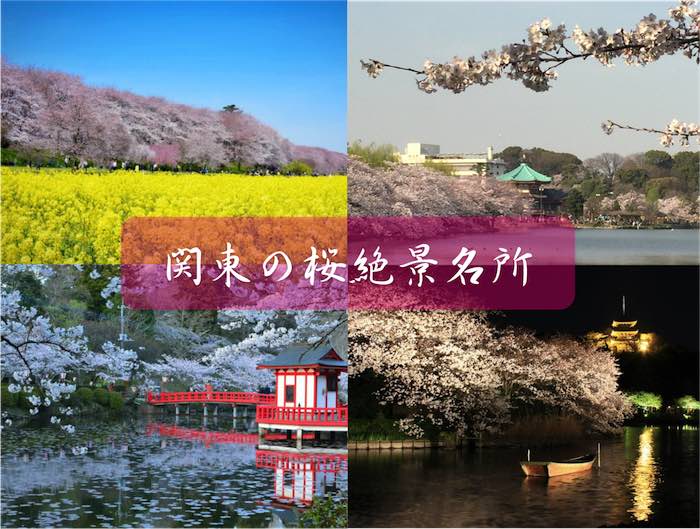 関東の桜絶景5選 お花見オススメスポット ウェザーニュース
